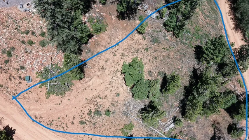 Expansive undeveloped land parcel featuring natural terrain and mature evergreen trees