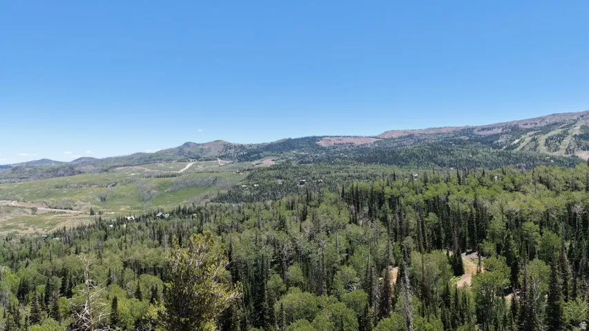 Expansive aerial perspective showcasing a mountainous, wooded landscape under a clear sky