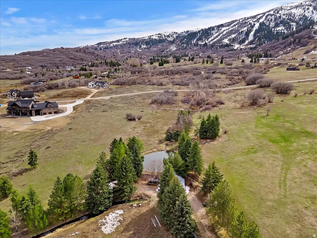 Expansive property featuring a tranquil pond, mature trees, and a mountain backdrop