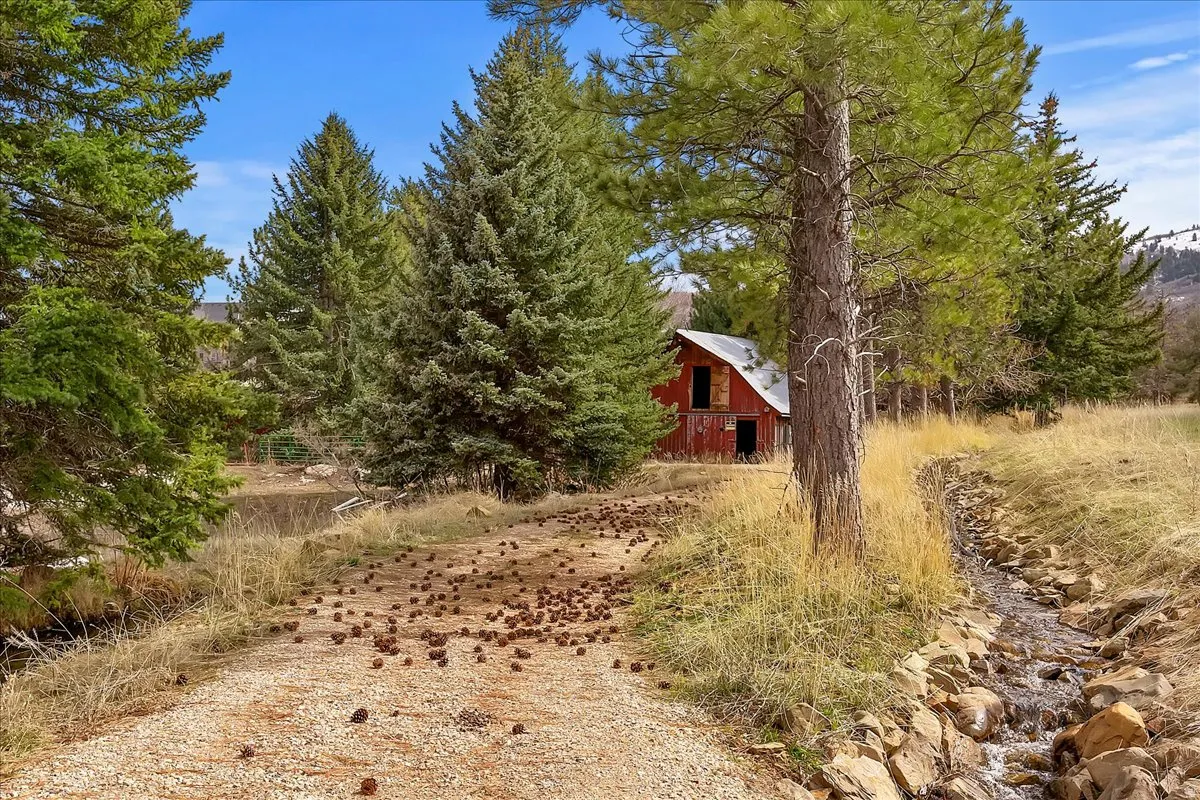 Gravel path leading to a red barn structure, surrounded by mature evergreen trees and dry grasses