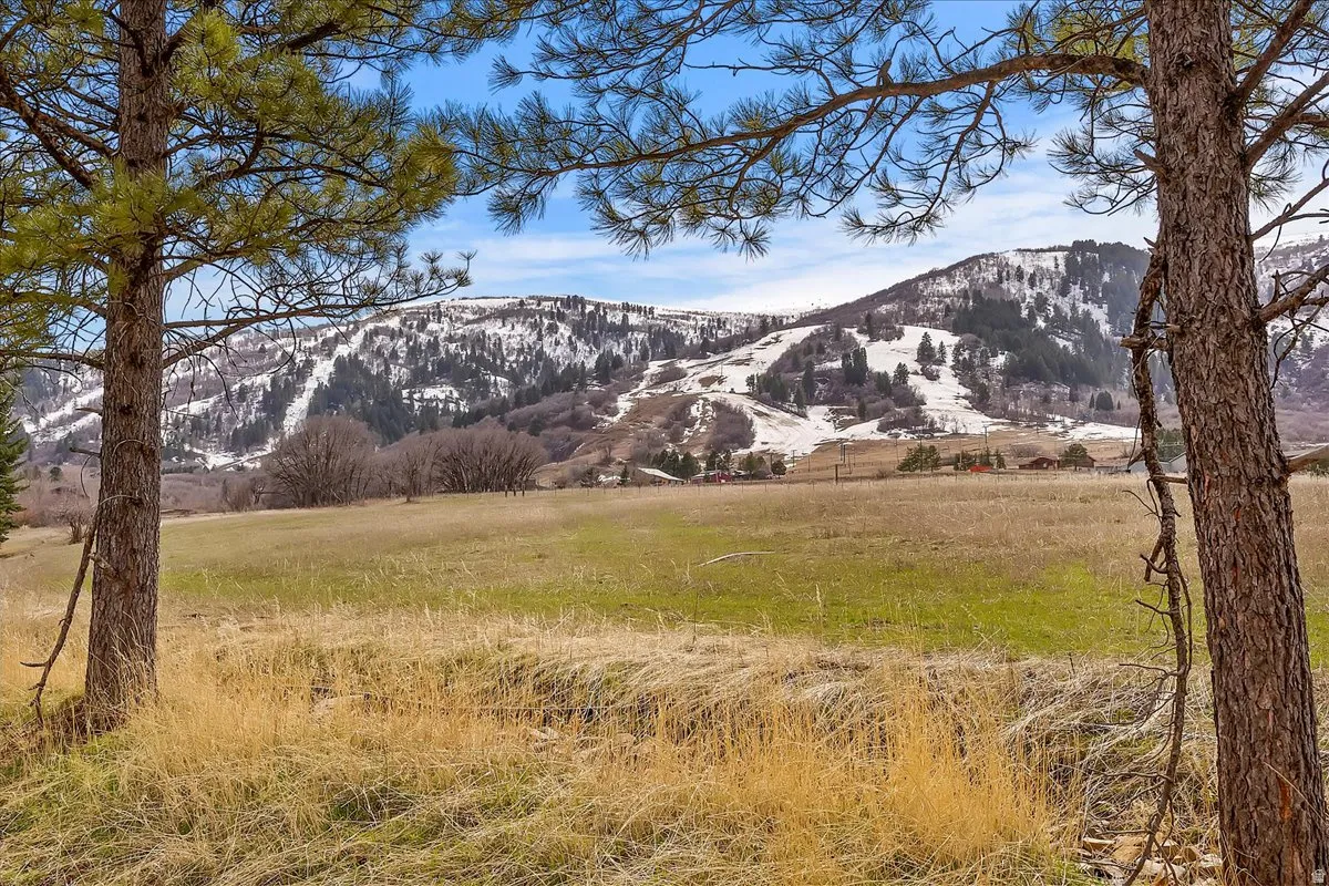 Expansive outdoor space featuring a large field and mountainous terrain