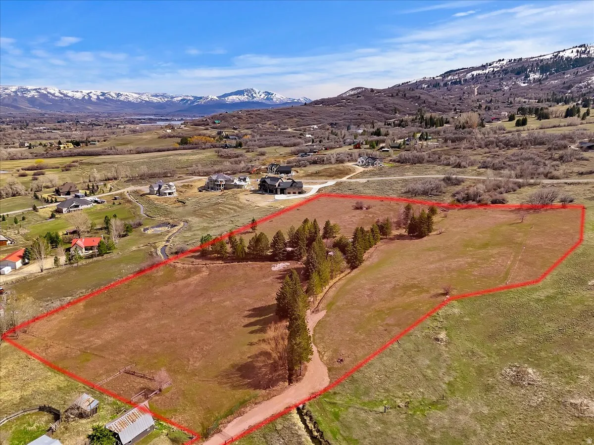 Expansive land parcel outlined in red, featuring a mix of open fields and mature evergreen trees
