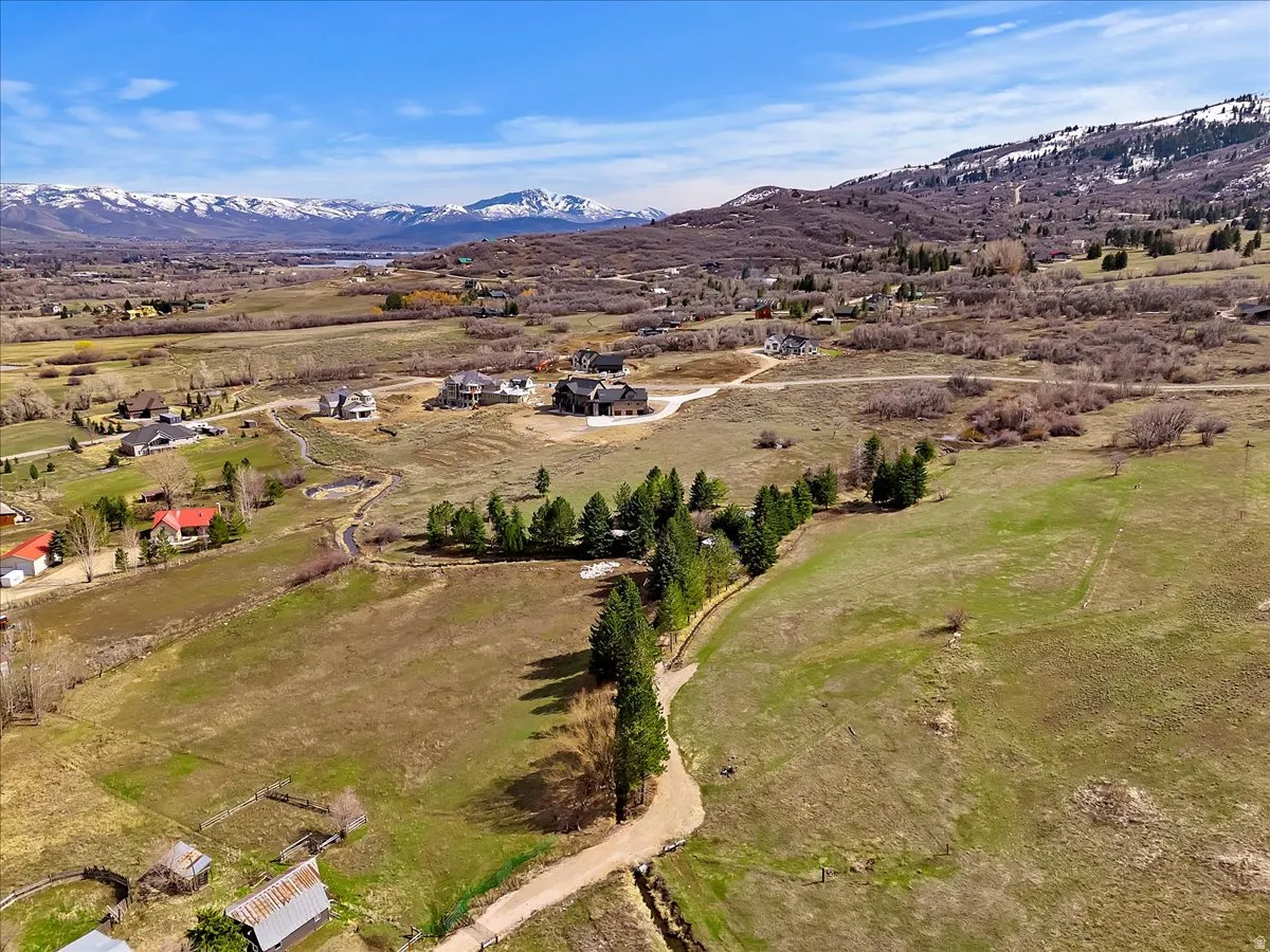 Expansive landscape featuring rolling hills, distant snow-capped mountains, and scattered trees