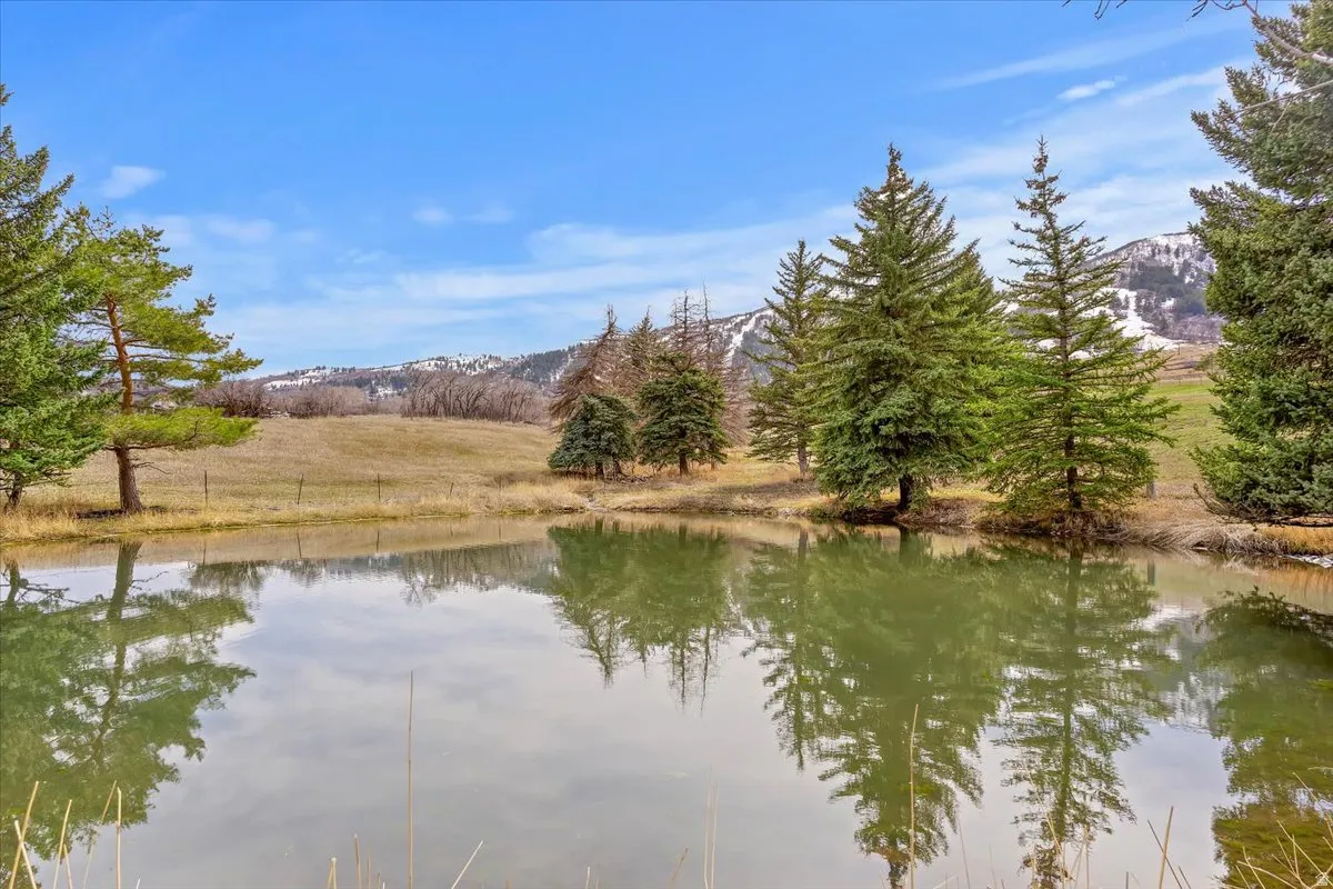 Pond with calm water reflecting surrounding trees, bordered by a grassy field and distant snow-capped hills