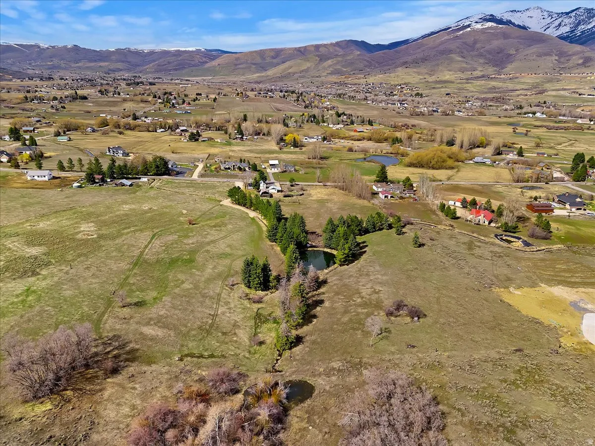 Expansive acreage with natural terrain, a tranquil pond, and mature evergreen trees