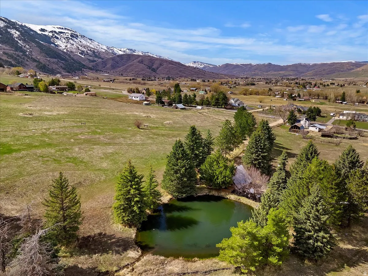Expansive green fields, private pond, mature evergreen trees, and distant snow-capped mountains