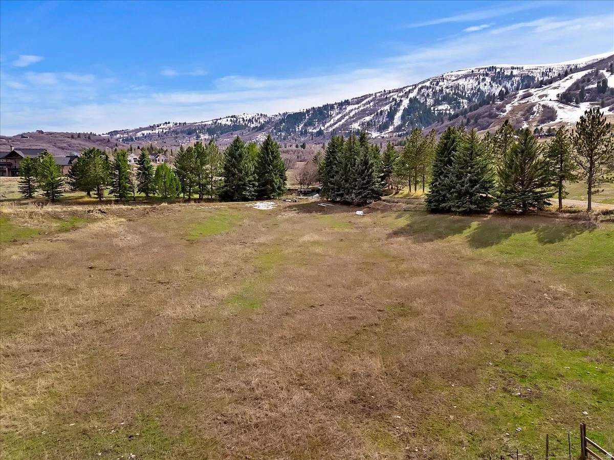 Expansive undeveloped land with a distant snow-capped mountain backdrop and scattered evergreen trees