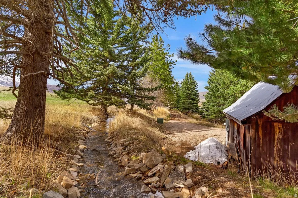 Mature trees framing a natural stream, rustic wood-sided outbuilding with a metal roof, and broad open terrain