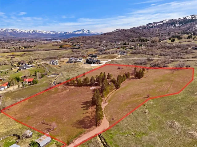 Expansive land parcel outlined in red, featuring a mix of open fields and mature evergreen trees