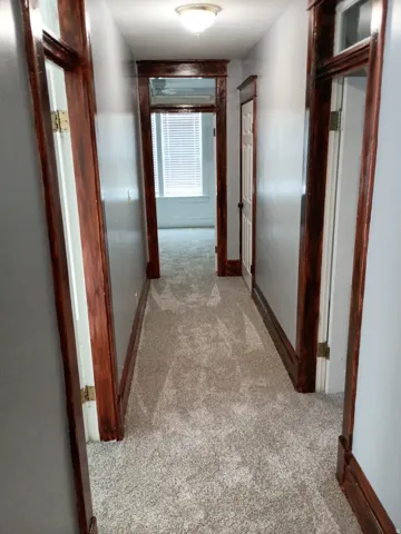 Hallway featuring light gray walls, dark wood-finish trim, light-colored carpeting, and a ceiling-mounted light fixture