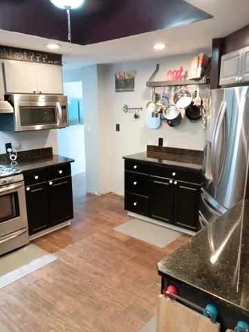 Kitchen featuring wood-finish flooring, dark cabinetry with white knobs, dark speckled countertops, and stainless steel appliances