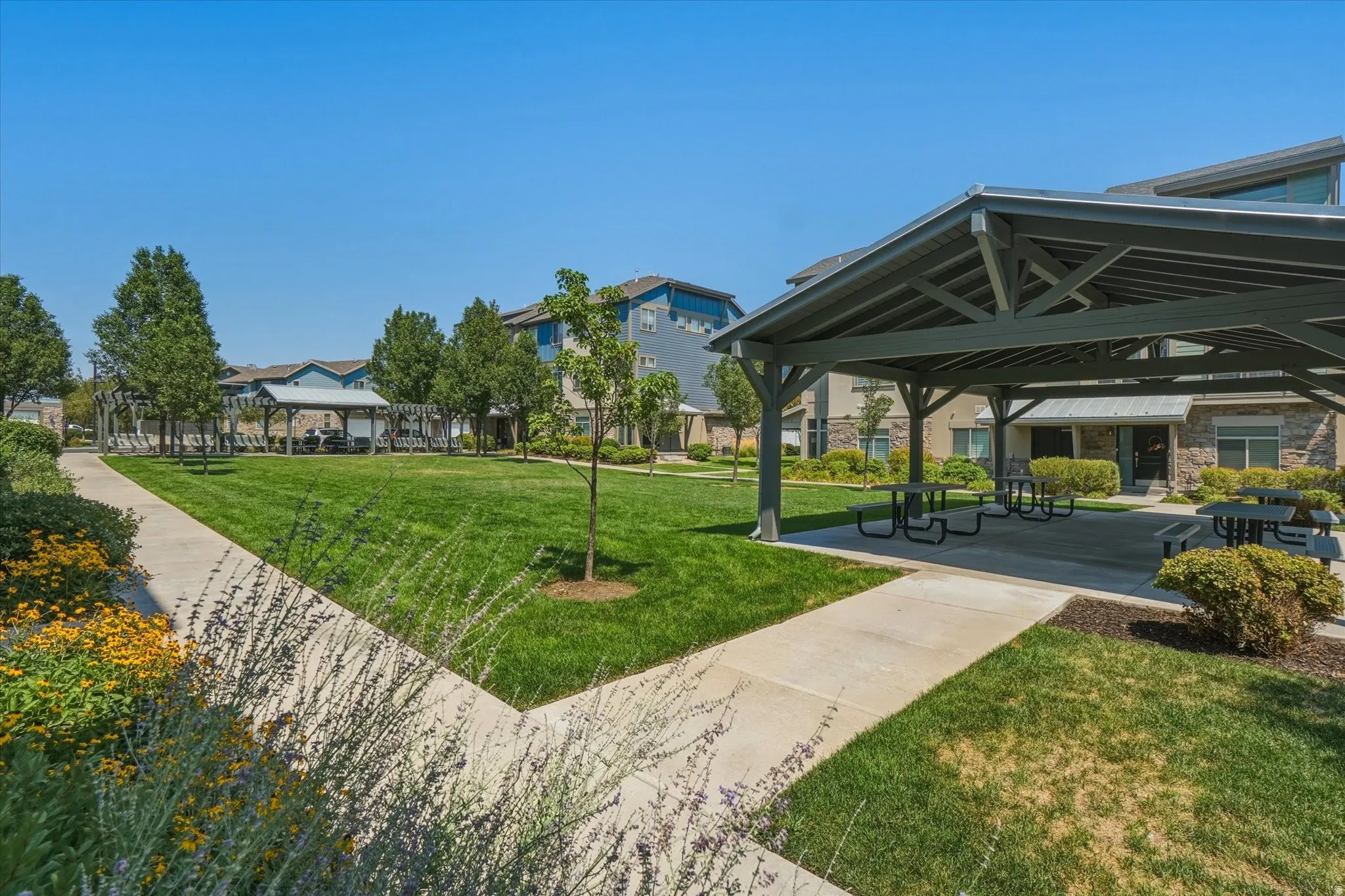 Expansive green space featuring a covered outdoor seating area, paved walkways, and mature landscaping