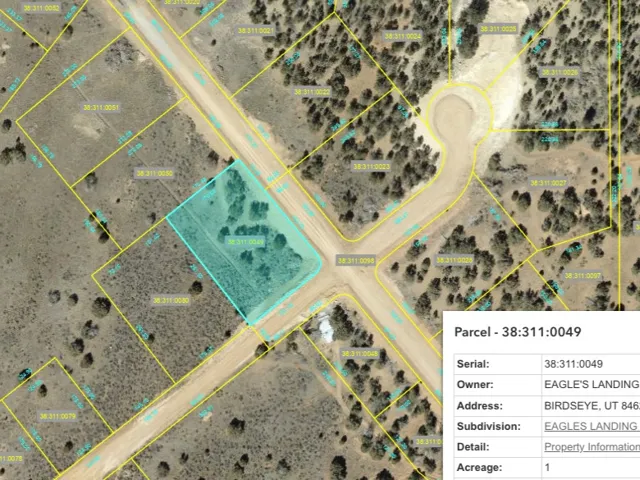 Real Estate Parcel Map with Information Overlay. Displaying a highlighted property boundary with associated owner details, address, subdivision, and acreage