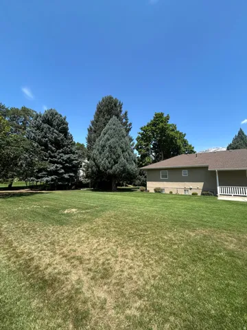 Expansive lawn area with mature evergreen trees and a single-story residence featuring a white railing porch