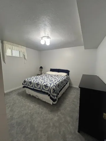 Wall-to-wall carpeting in a neutral tone and a flush-mount ceiling light fixture
