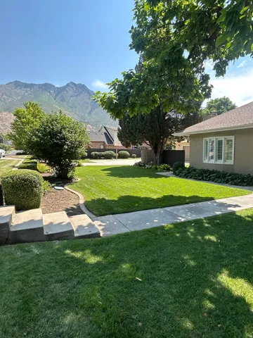 Expansive front lawn with concrete walkway and steps