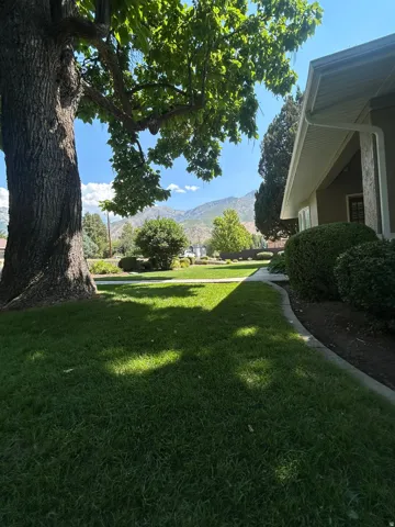 Expansive green lawn with mature tree, established shrubbery, and a paved walkway leading to the home's exterior