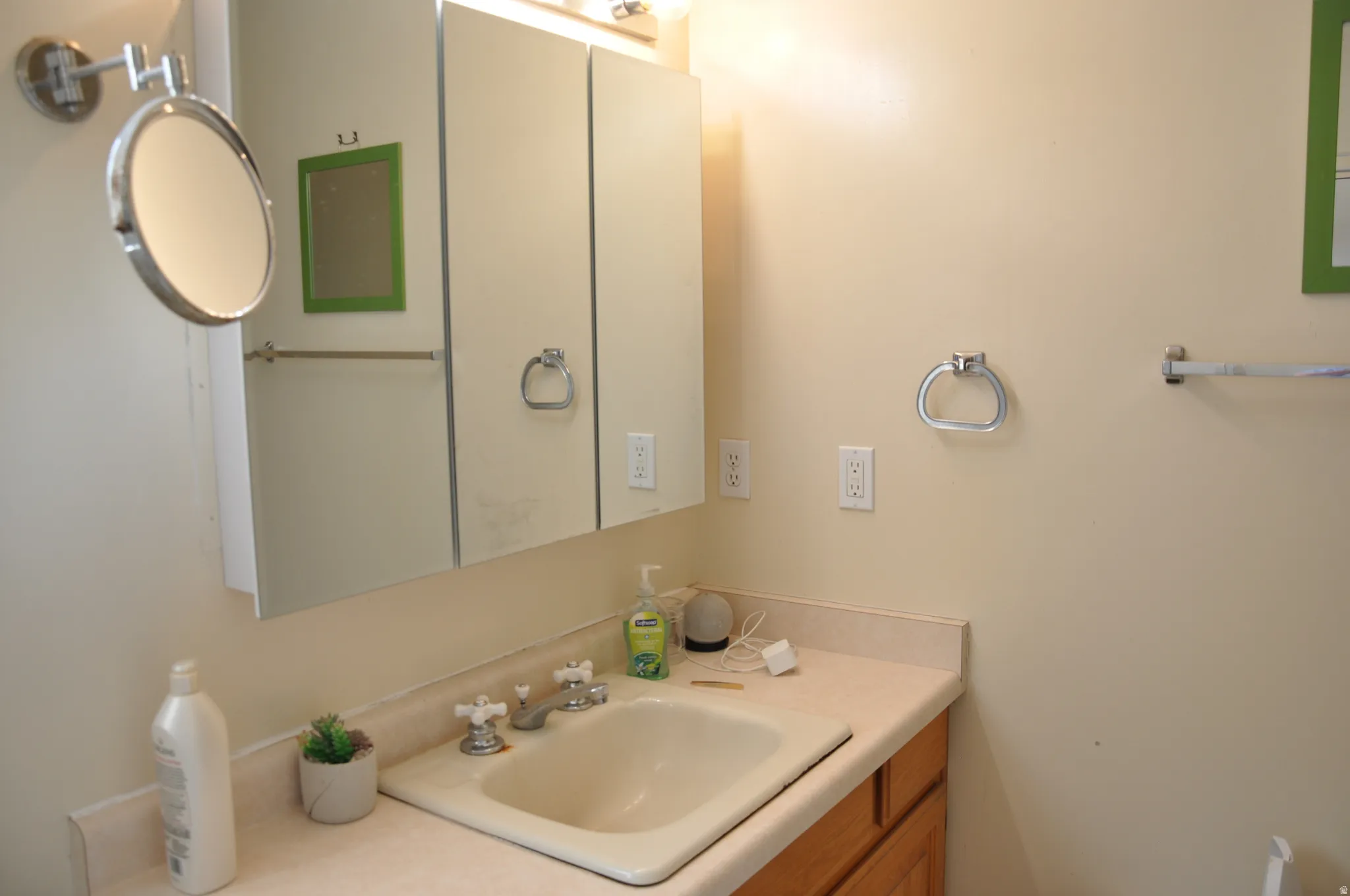 Bathroom vanity featuring a built-in sink, dual medicine cabinets with mirrored fronts, and a chrome towel ring