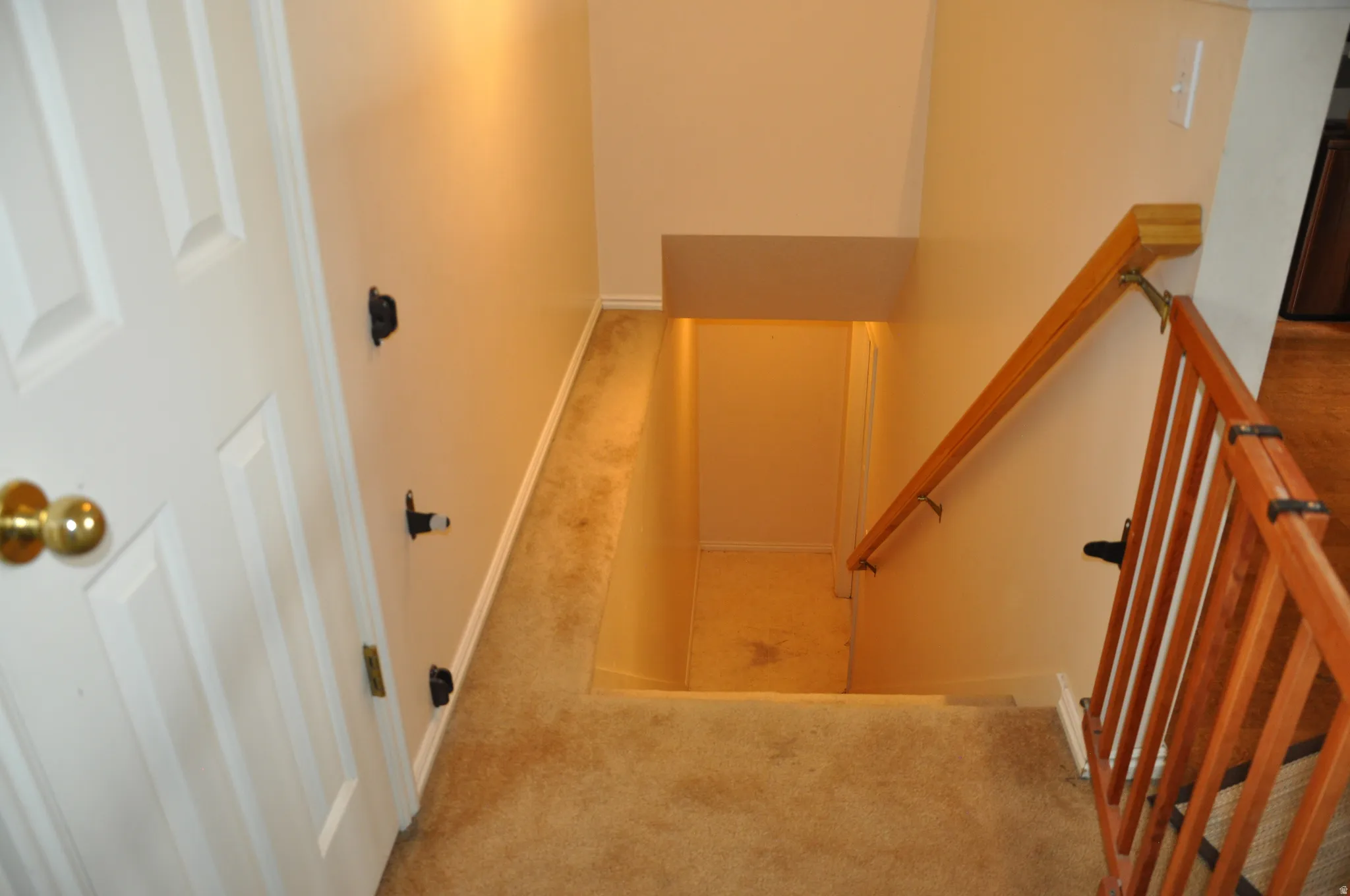 Carpeted staircase with a wood handrail