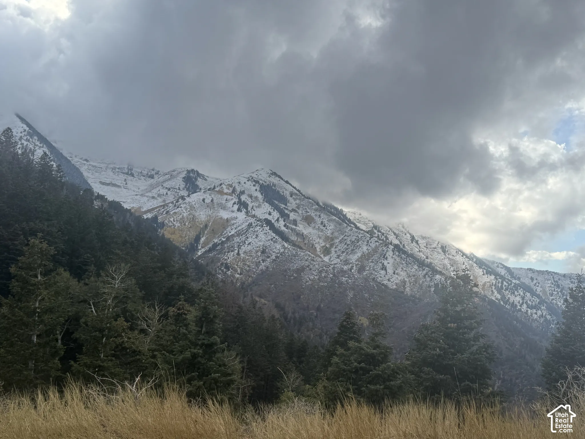 Bates Canyon in winter.  A short drive to the top of the canyon for these gorgeous mountain views and an escape from town.  The canyon has many areas to pull over along the way for photos and viewing.