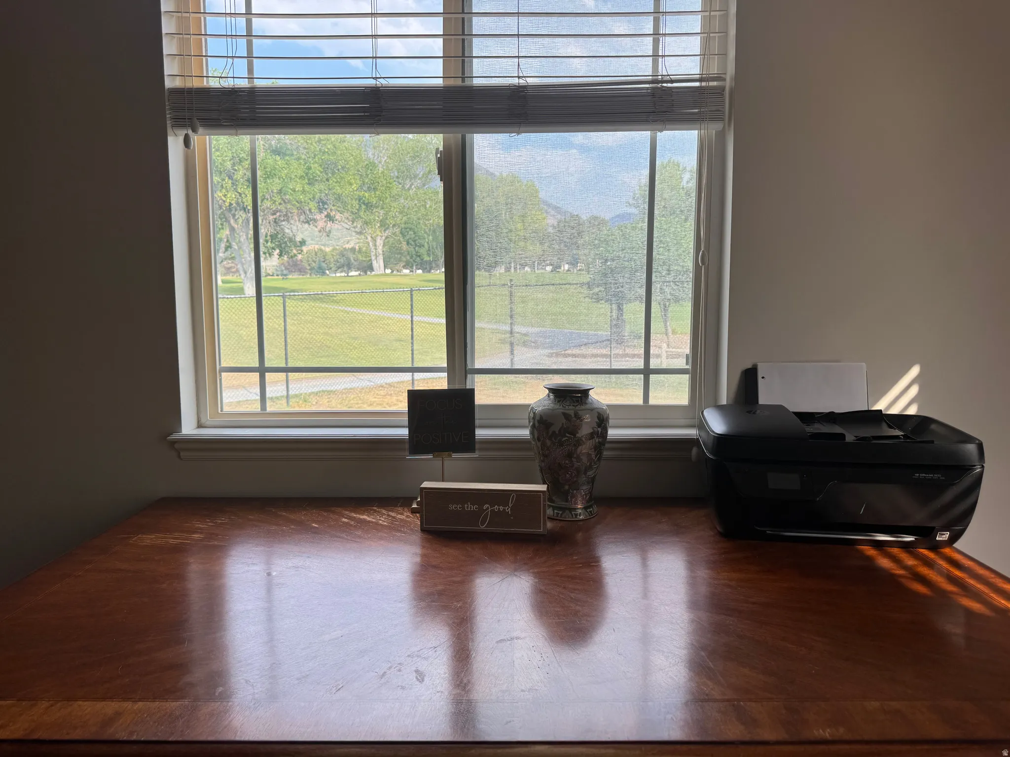 Window with horizontal blinds and a framed exterior view