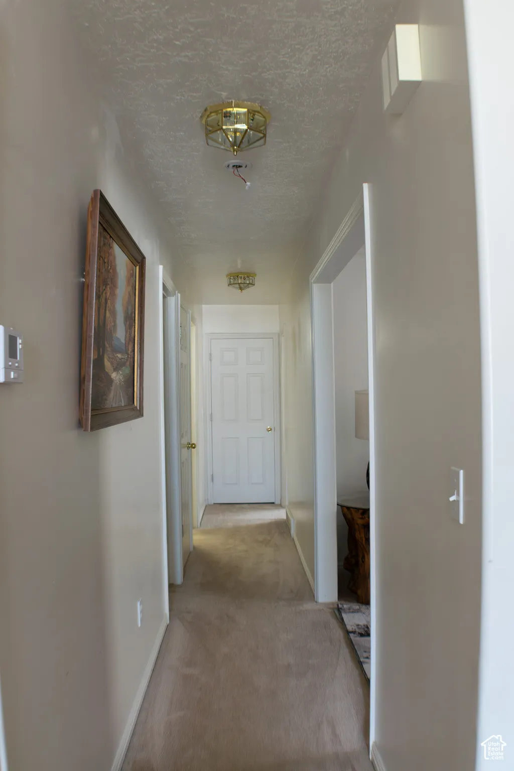 Main level hallway includes the laundry room, a coat closet and two storage closets with built in shelving.
