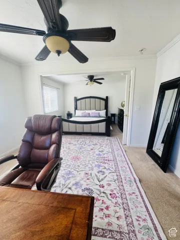 Crown molding, ceiling fan, and carpeted flooring
