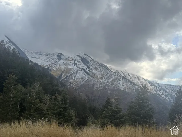 Bates Canyon in winter.  A short drive to the top of the canyon for these gorgeous mountain views and an escape from town.  The canyon has many areas to pull over along the way for photos and viewing.