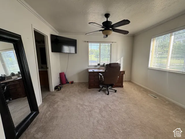Primary bedroom expansion is carpeted with crown molding, a ceiling fan with integrated lighting, and multiple windows with blinds.