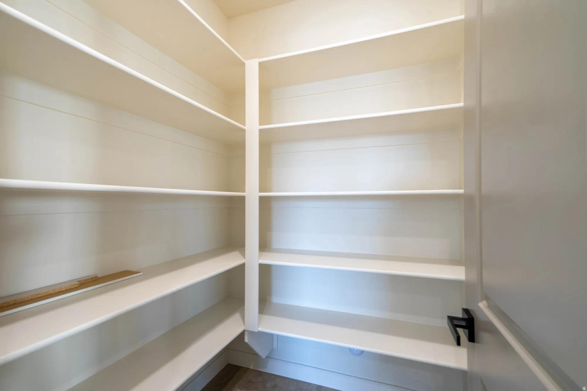 Built-in shelving, extensive storage, light-toned walls, and a door with matte black hardware