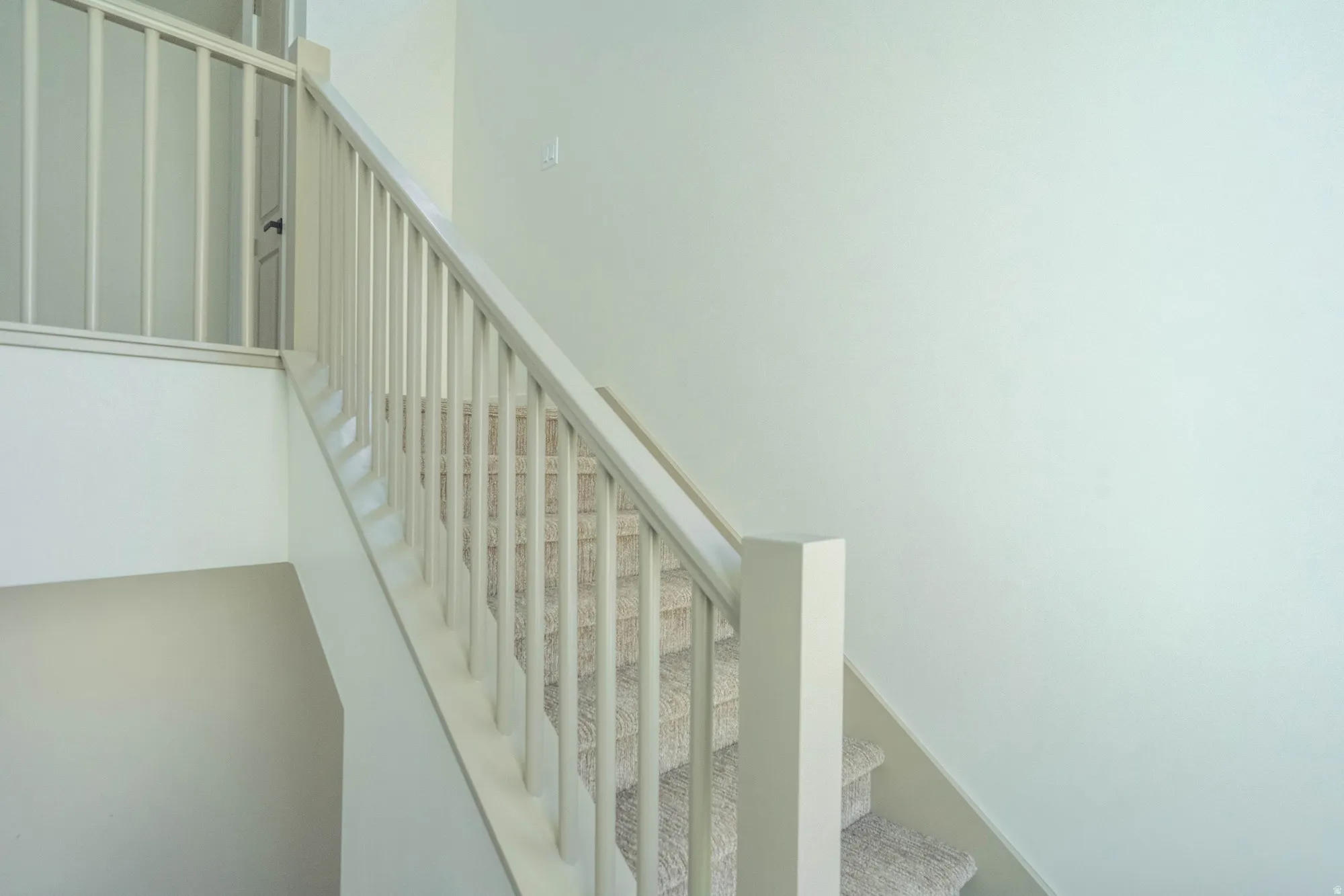 Carpeted staircase featuring a light-toned wooden banister and painted risers