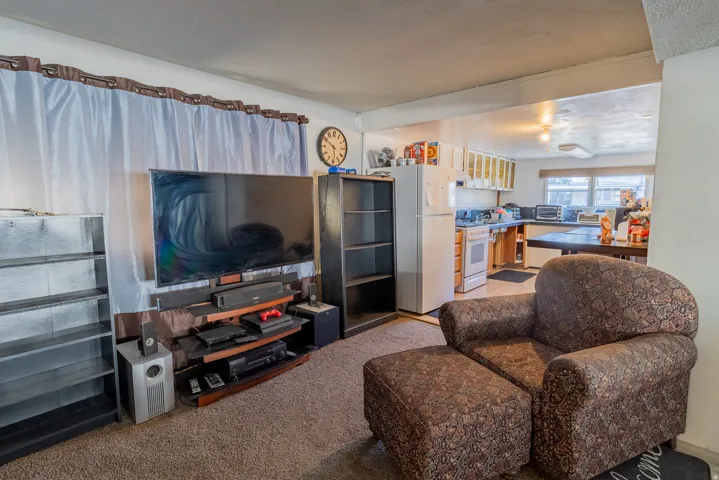 Living room and kitchen