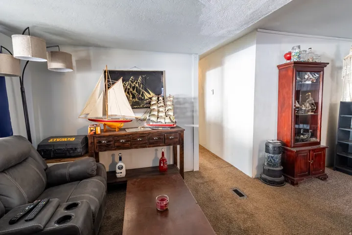 Living room with lots of light