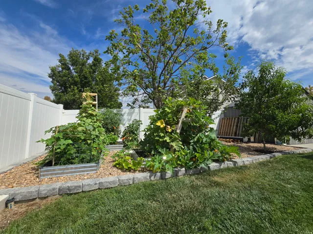 Manicured lawn with a stone-edged garden bed, featuring raised planter boxes and mature trees