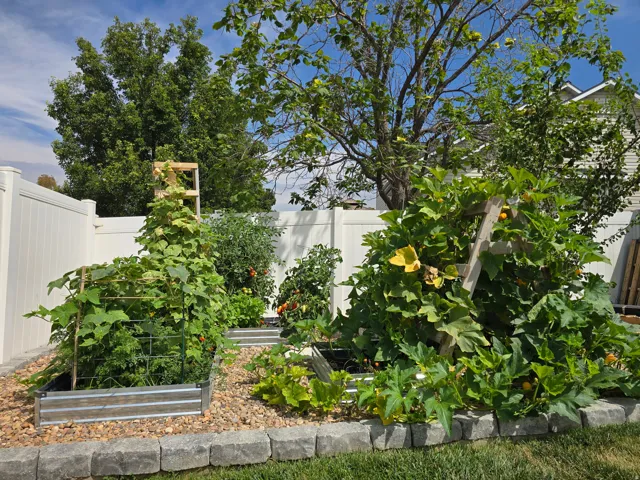 Raised garden beds with stone border