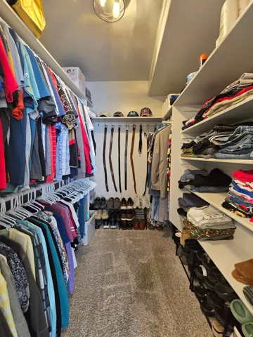 Walk-in closet featuring carpet flooring, built-in shelving, and hanging rods