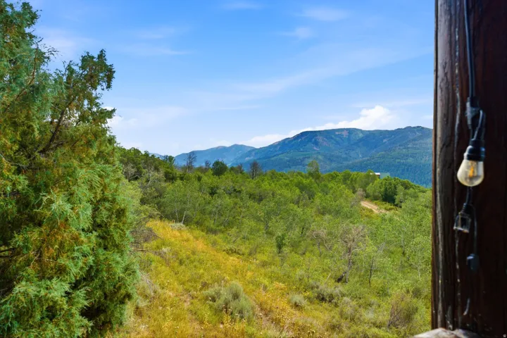 Expansive natural landscape with varied foliage, distant mountains, and a clear blue sky