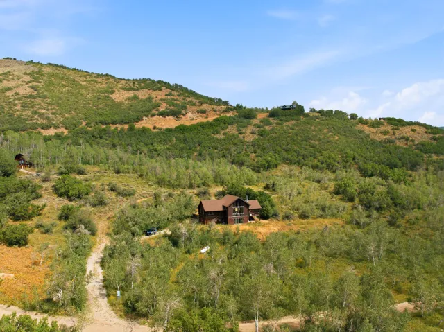 Expansive hillside property featuring a multi-level residence, natural foliage, and mature trees