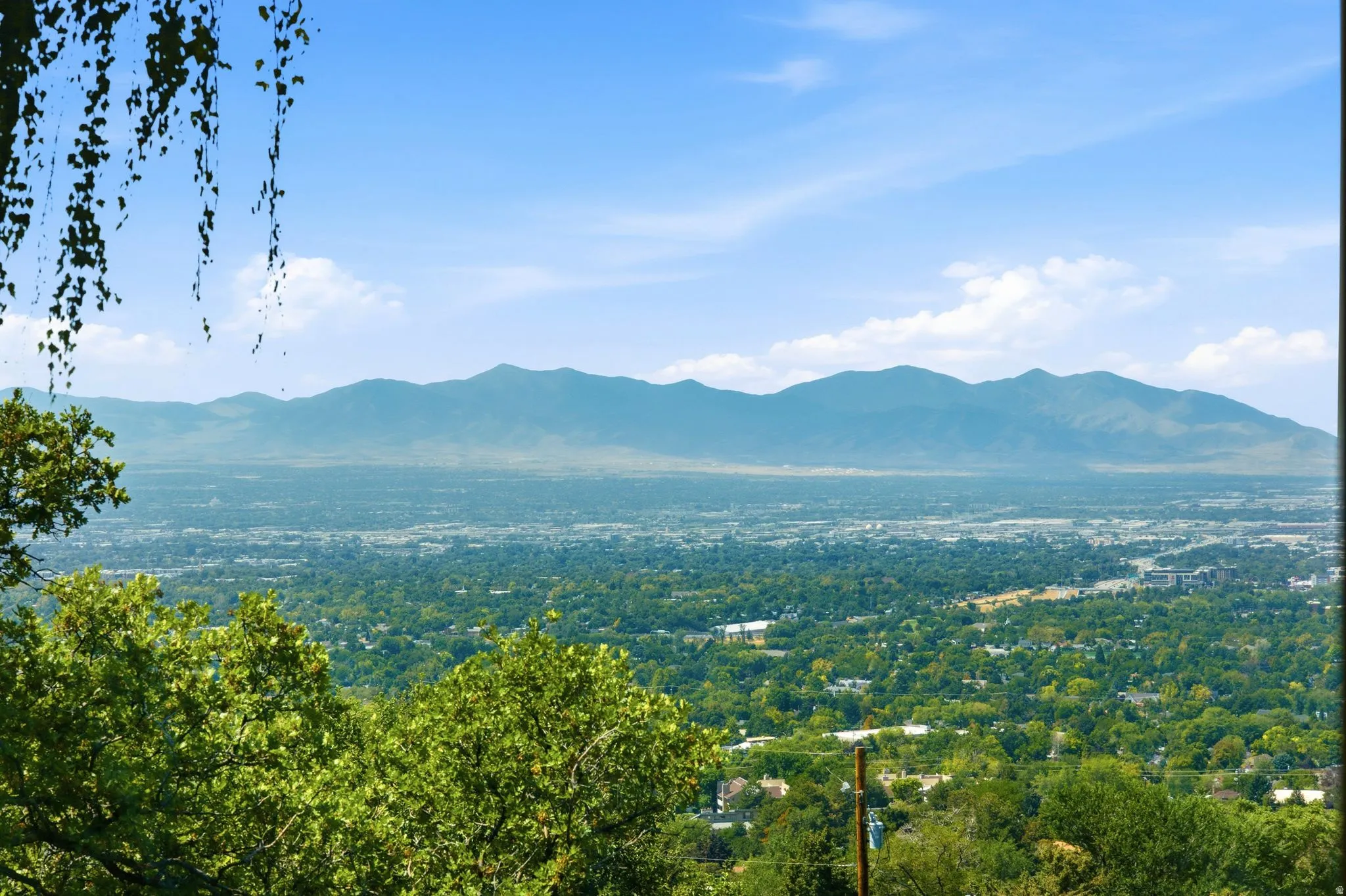 Expansive mountain range backdrop and a broad tree-lined urban landscape