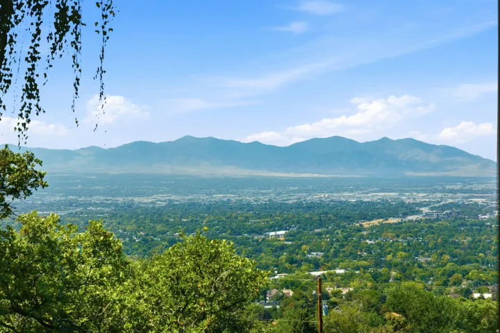 Expansive mountain range backdrop and a broad tree-lined urban landscape