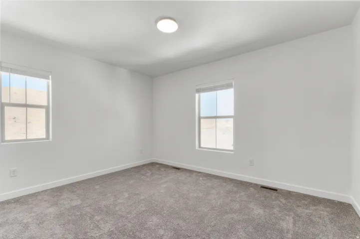 Light gray carpeting with a flush-mount ceiling light