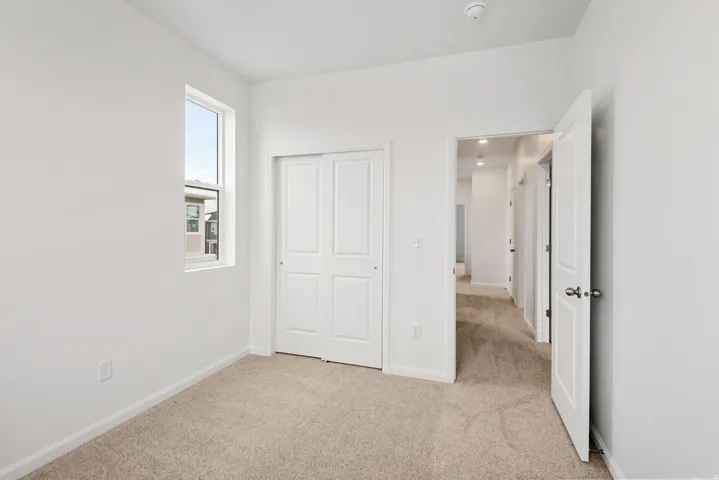 Neutral-toned carpeting, white walls, and a sliding closet door with panel detailing