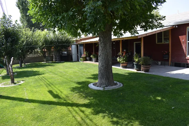 Expansive backyard featuring a manicured lawn, mature trees, and a covered patio