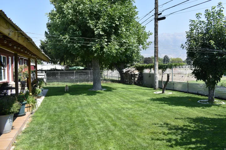 Expansive lawn with mature trees and a covered porch