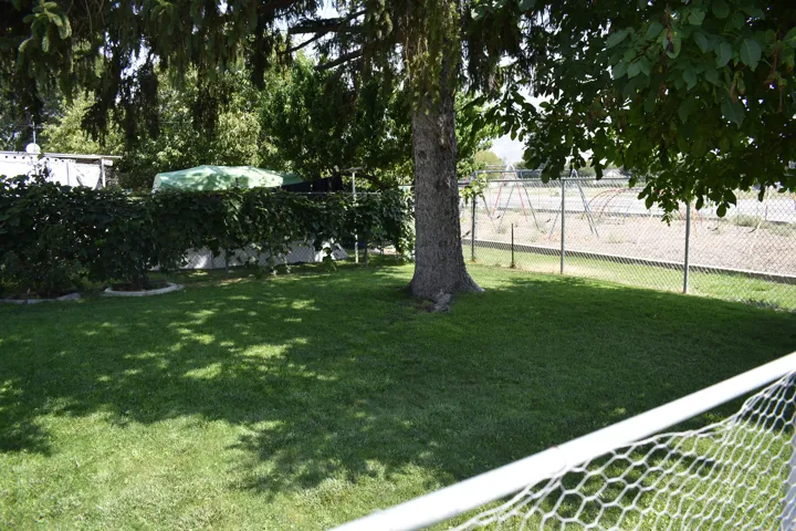 Grassy lawn area featuring mature trees and a chain-link fence