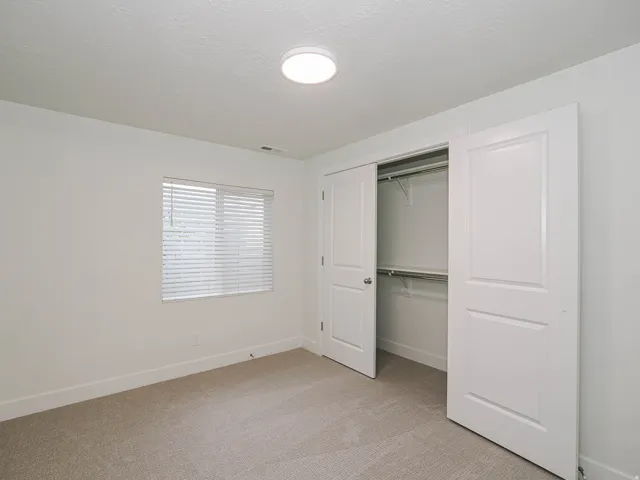 Recessed window with blinds, light-toned carpeting, and a built-in closet with sliding doors
