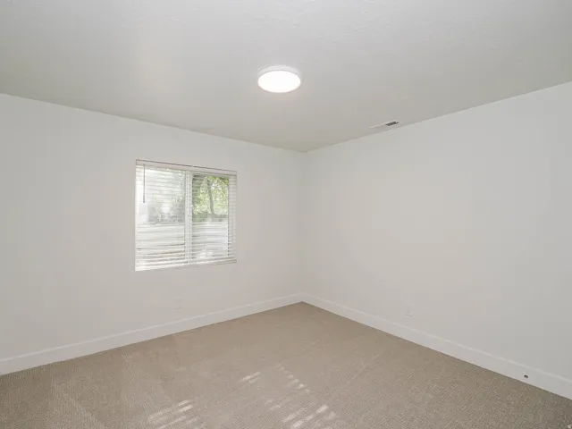 Neutral wall colors, carpeted flooring, a flush-mount ceiling light, and a window with horizontal blinds