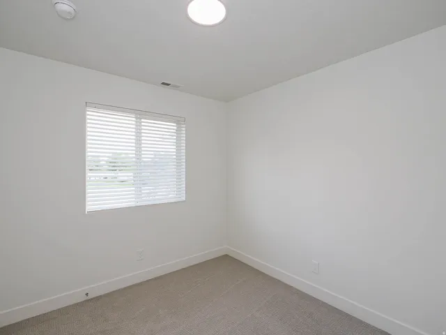 Recessed ceiling light, neutral wall color, window with blinds, and carpeted flooring