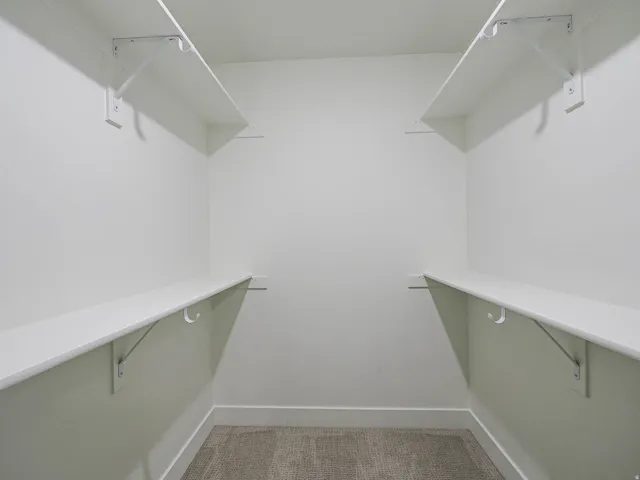 Walk-in closet featuring built-in shelving, white walls, and carpet flooring