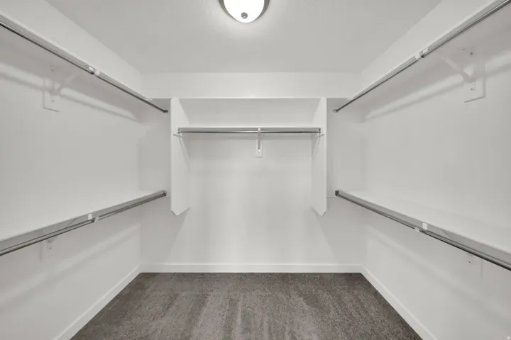 Recessed ceiling light, carpeted flooring, and built-in closet shelving and hanging rods